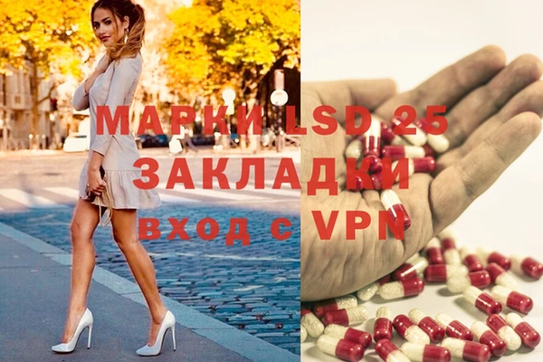 гидра Алексин