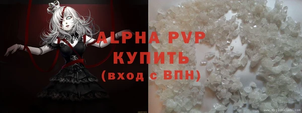 гидра Алексин