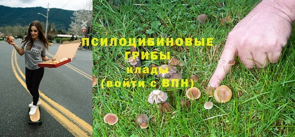 гидра Алексин